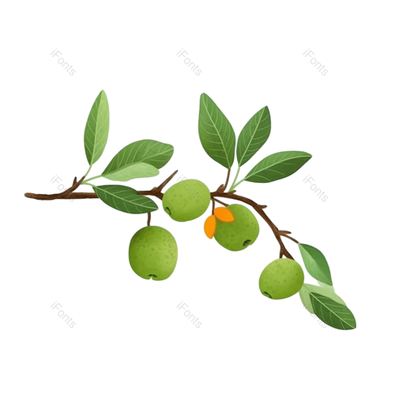 叶子图片,芒种元素,水果PNG,树叶免抠素材
